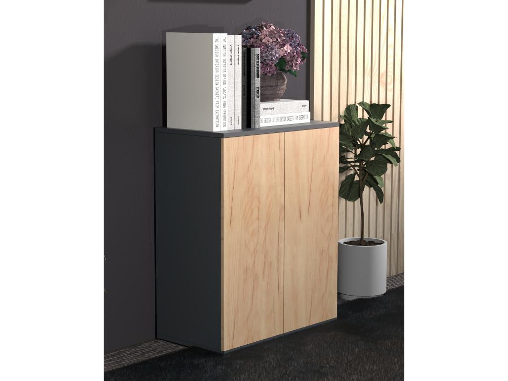 Oak Wood, Wardrobe, Black And Brown